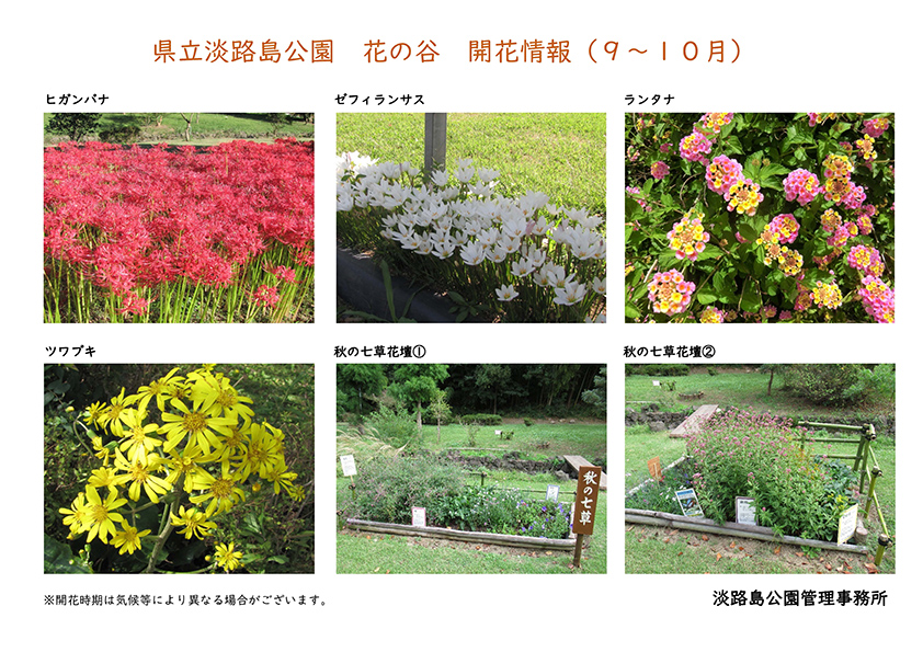 2021_9月~10月の開花情報_【淡路島公園】 (1)